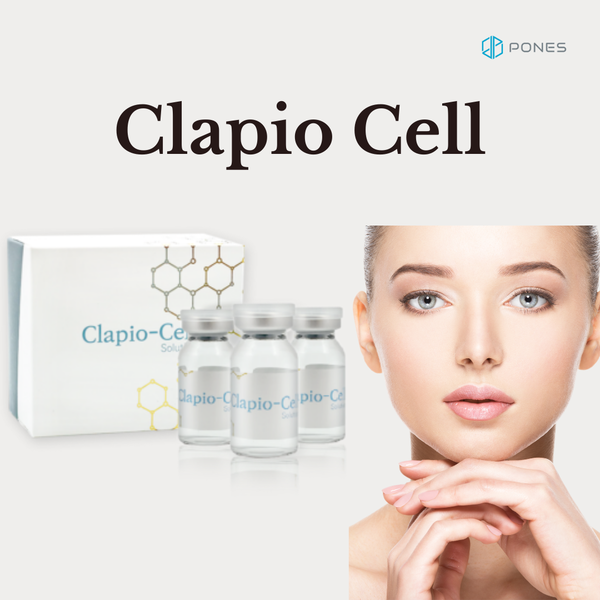 glutathione cisplatin cytotoxicity The role of the Nrf2/GSH antioxidant system in cisplatin resistance in  malignant rhabdoid tumours | Journal of Cancer Research and Clinical  Oncology