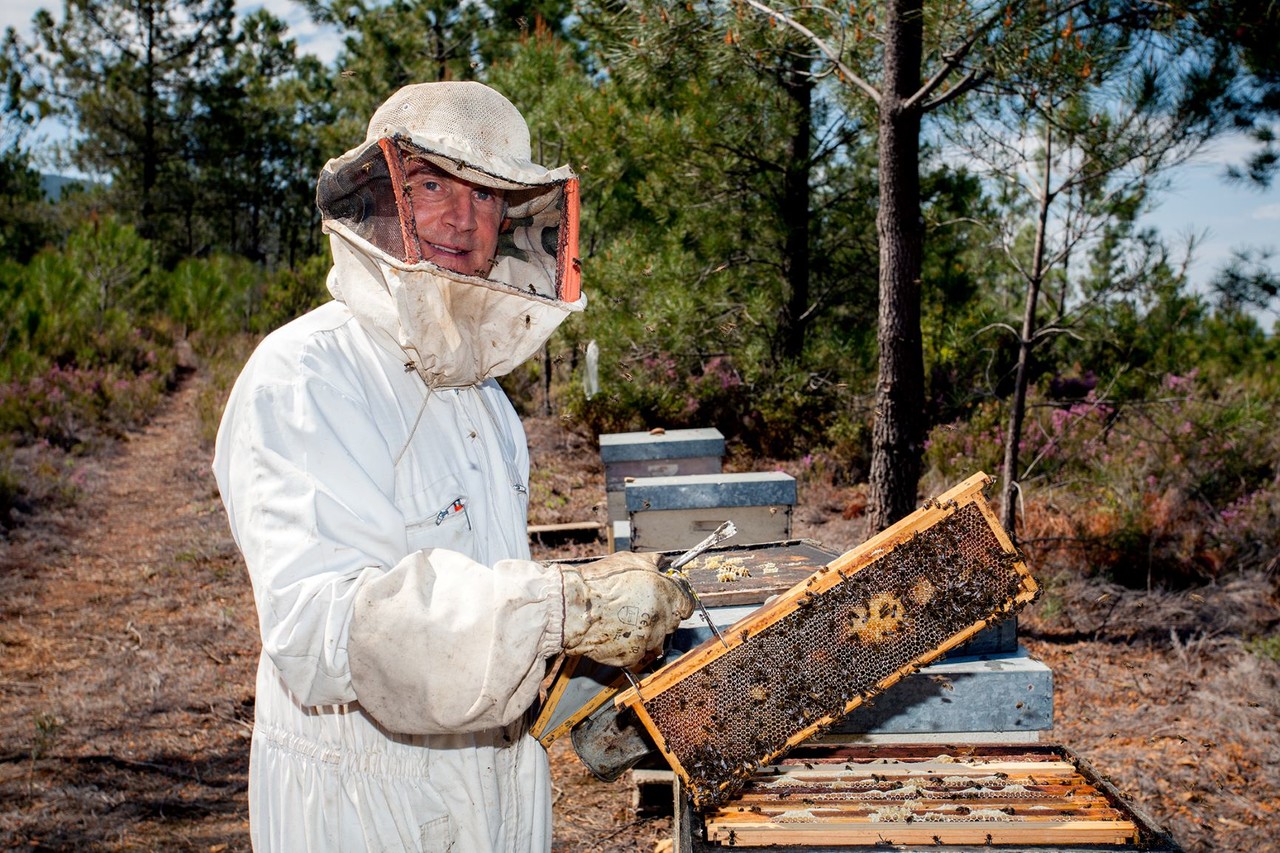 SERRAMEL NATURAL HONEY
