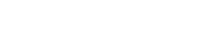 Green Ai