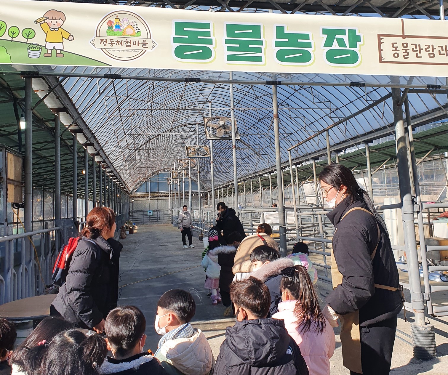 동물농장체험