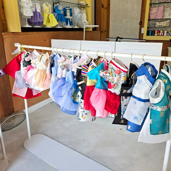 [전북 전주] 독고냥이