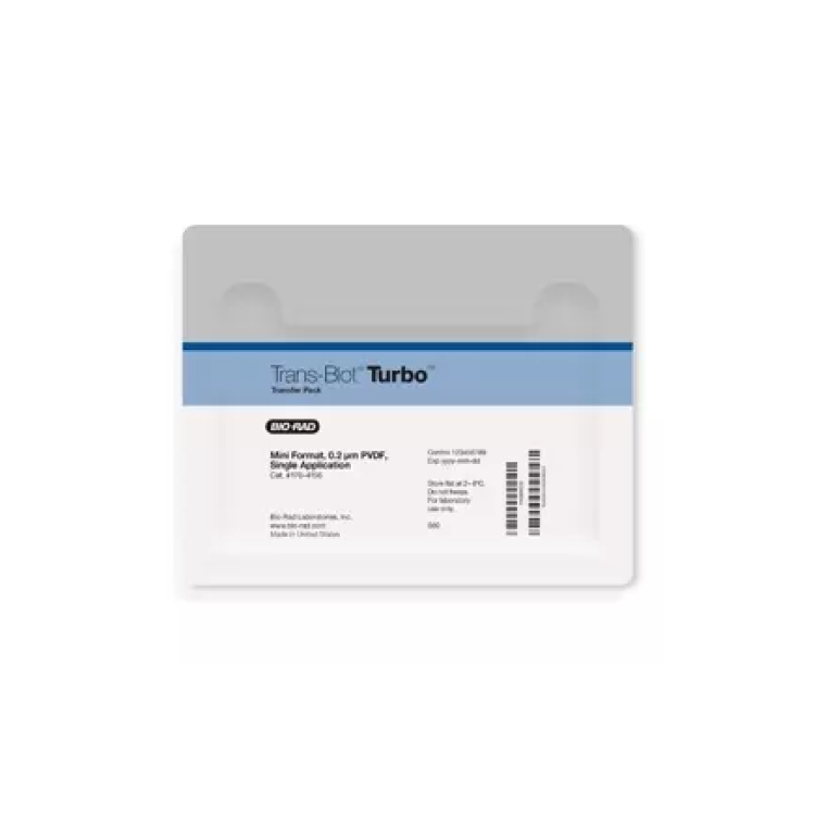 Trans-Blot Turbo Transfer Pack 10pk/cs : Saintone(주)