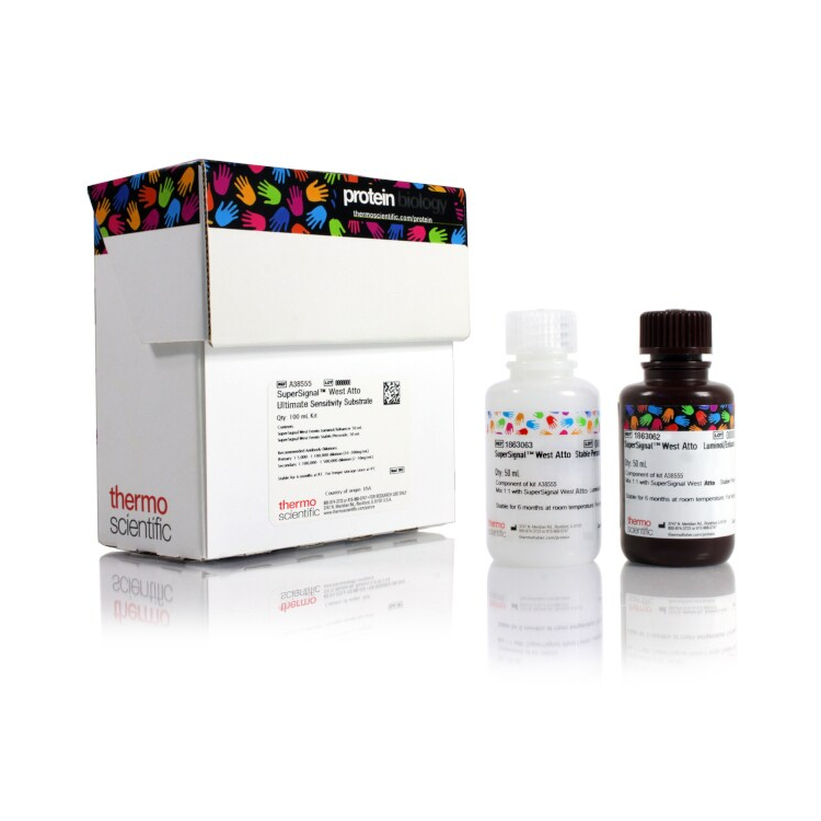 SuperSignal™ West Atto Ultimate Sensitivity Substrate : Saintone(주)