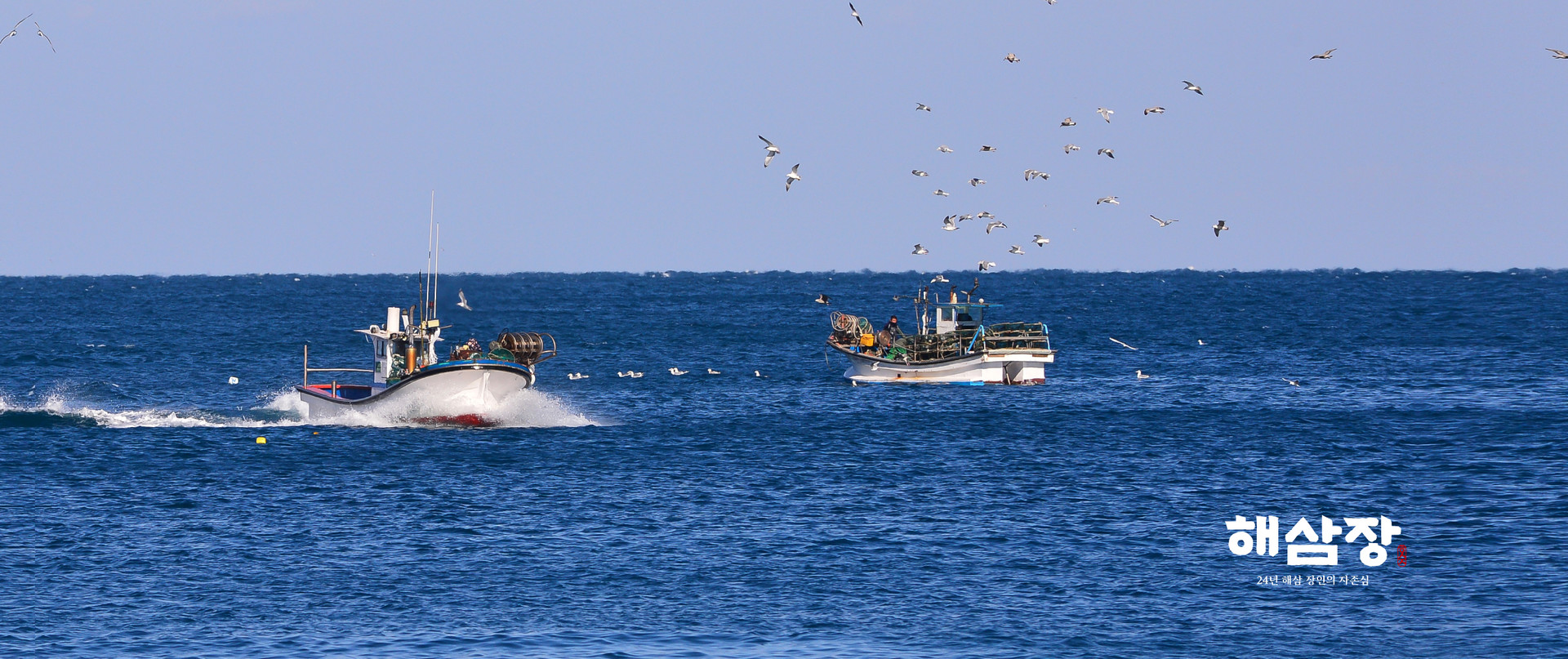 24년 경력 해삼장인, 해삼장 