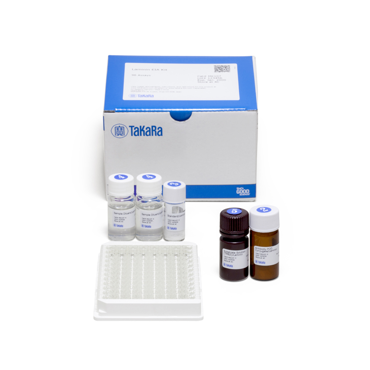 Laminin EIA Kit（precoated） [96Assays] : Saintone(주)