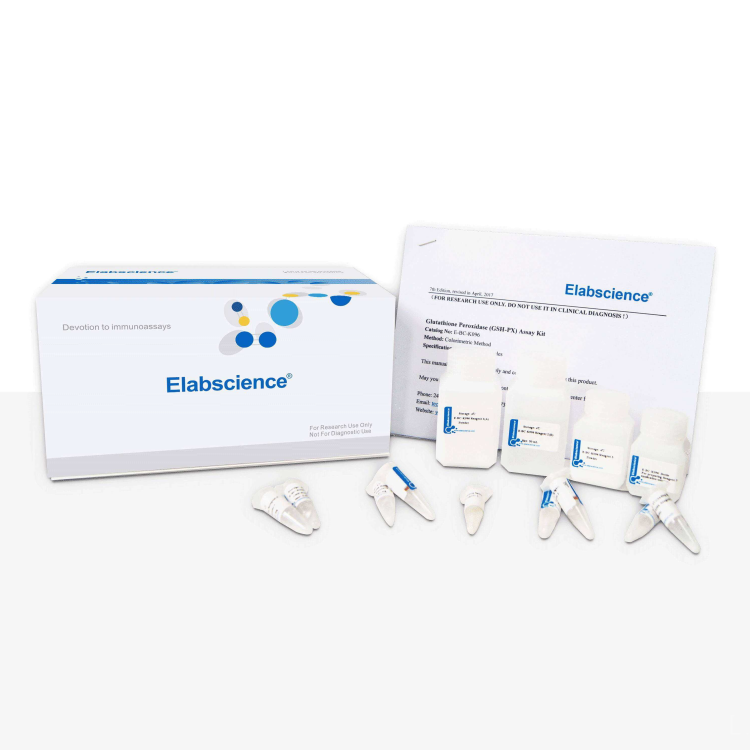 Triglyceride (TG) Colorimetric Assay Kit (Single Reagent, GPO-PAP ...