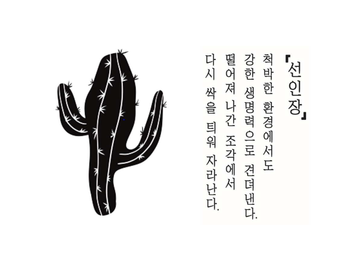 자립준비청년이 직접 그린 선임장 이미지와 설명_선인장, 척박한 환경에서도 강한 생명력으로 견뎌낸다. 떨어져 나간 조각에서 다시 싹을 츼워 자라난다.