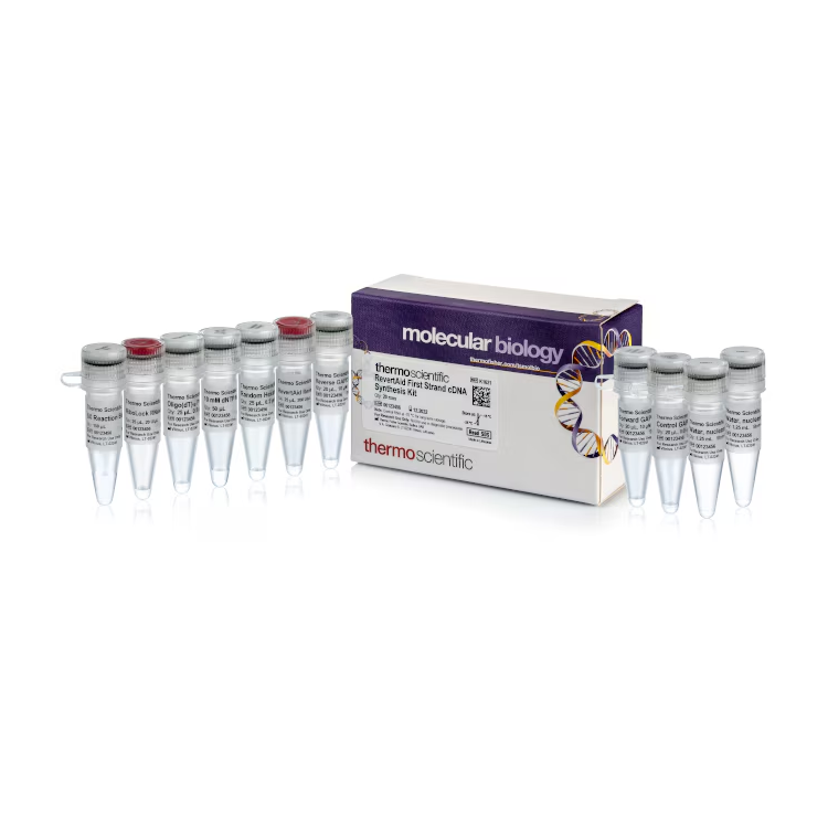 RevertAid First Strand cDNA Synthesis Kit, 20reactions : Saintone(주)