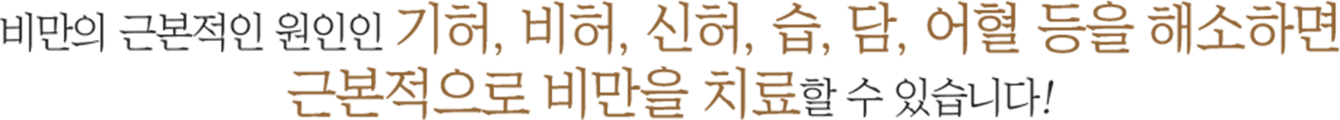 더좋은한방병원 기허, 비허, 신허, 습, 담, 어혈 등을 해소하면 근본적으로 비만을 치료할 수 있습니다