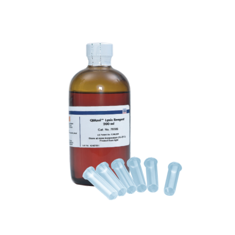 QIAzol Lysis Reagent (200ml), 200ml : HLB바이오스텝 B2B MALL