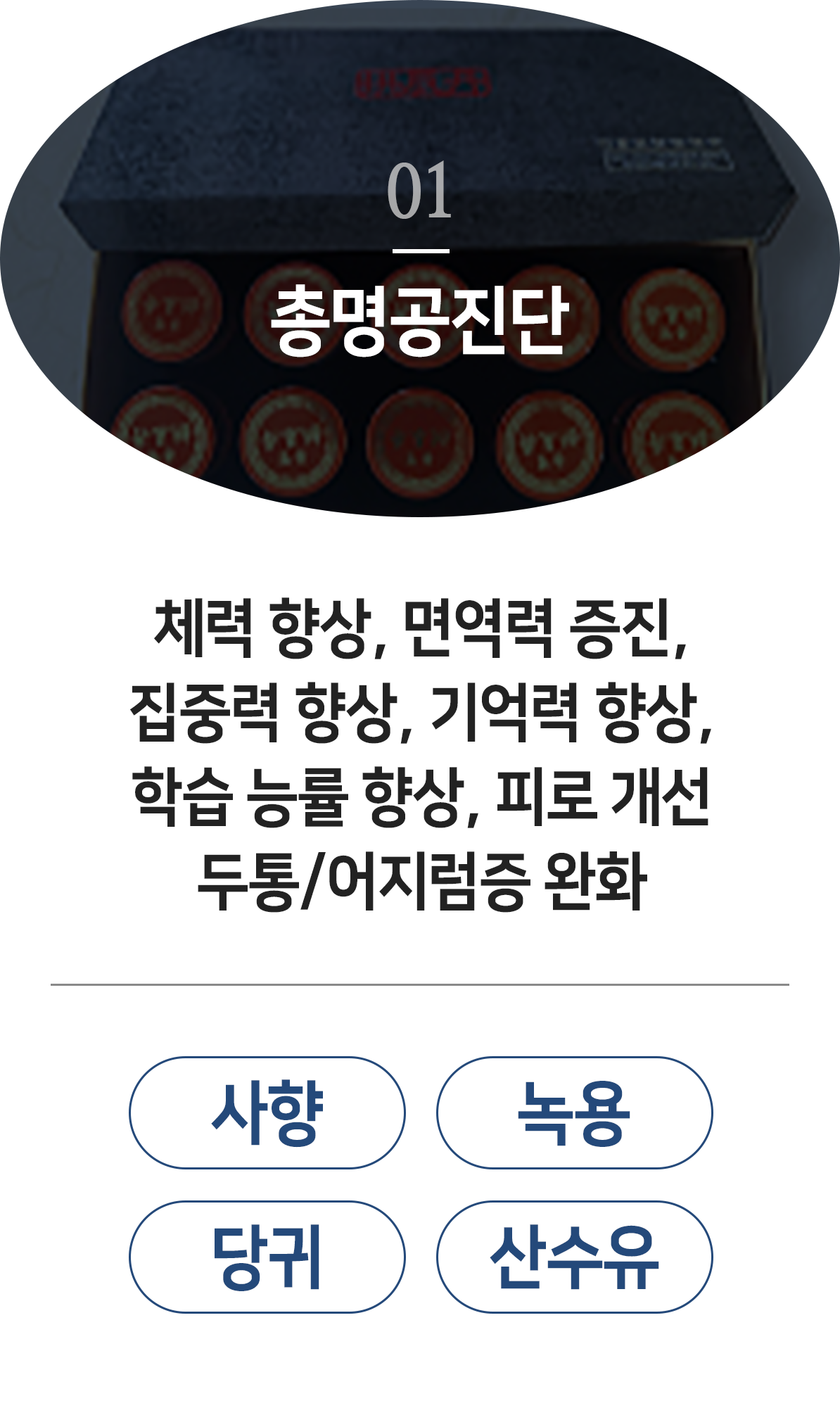 더좋은한방병원 총명공진단