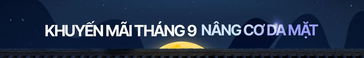 Không gồm VAT