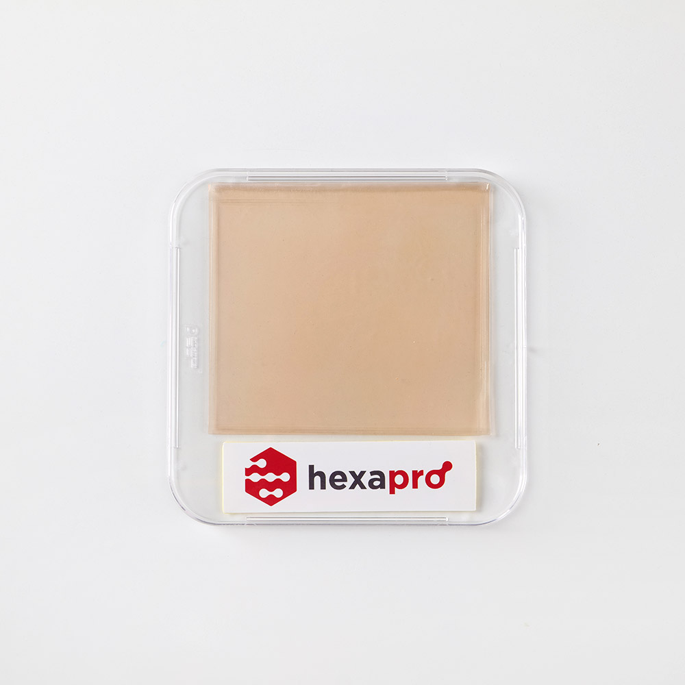 <p style="margin-top:20px; font-size: 16px; line-height: 1.5;"><span style="font-size: 20px;">헥사프로 AAO 템플릿 기반으로 제조된 반사방지 필름</span></p>