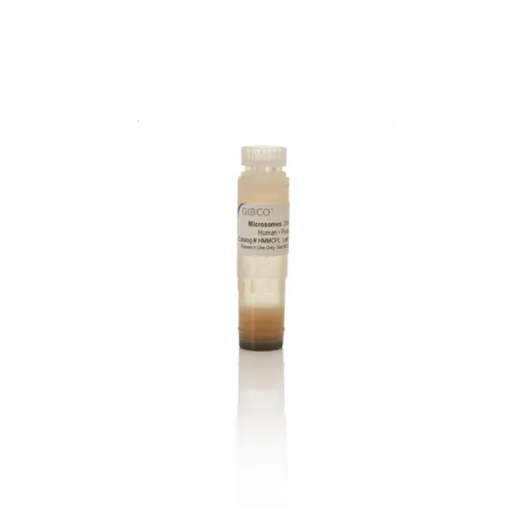 Human Microsomes, 50 Donors, 0.5mL : Saintone(주)