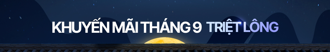 <br>~2024.09.30<br>Không gồm VAT