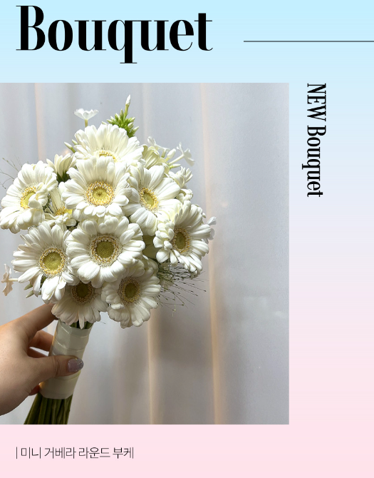 79,000원