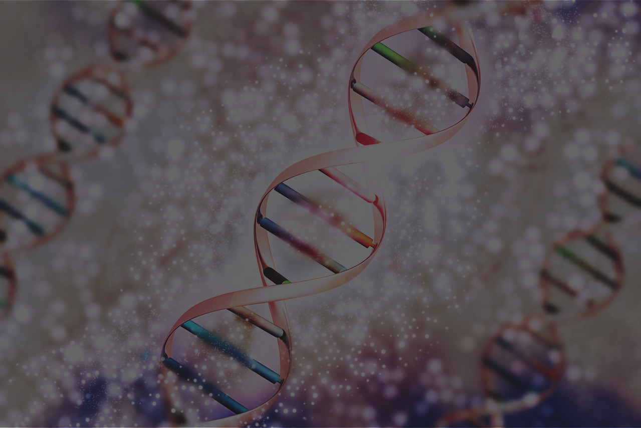 <div style="padding:10px;color:#fff;"> <h5 style="font-weight:800;">5뉴클레오 베이스</h5> <p style="line-height:1.5;font-weight:500;"> 5뉴클레오 베이스(티민, 시토신, 아데닌, 구아닌, 우라실)는 생명의 기본 구성 물질입니다.<br> 이 5가지 성분을 원료로 사용하며, 안전성이 검증된 1회용 3중 겹 캡슐볼 내에 보존되어<br> 피부 컨디션 관리에 적합하도록 설계되었습니다. </p> </div>