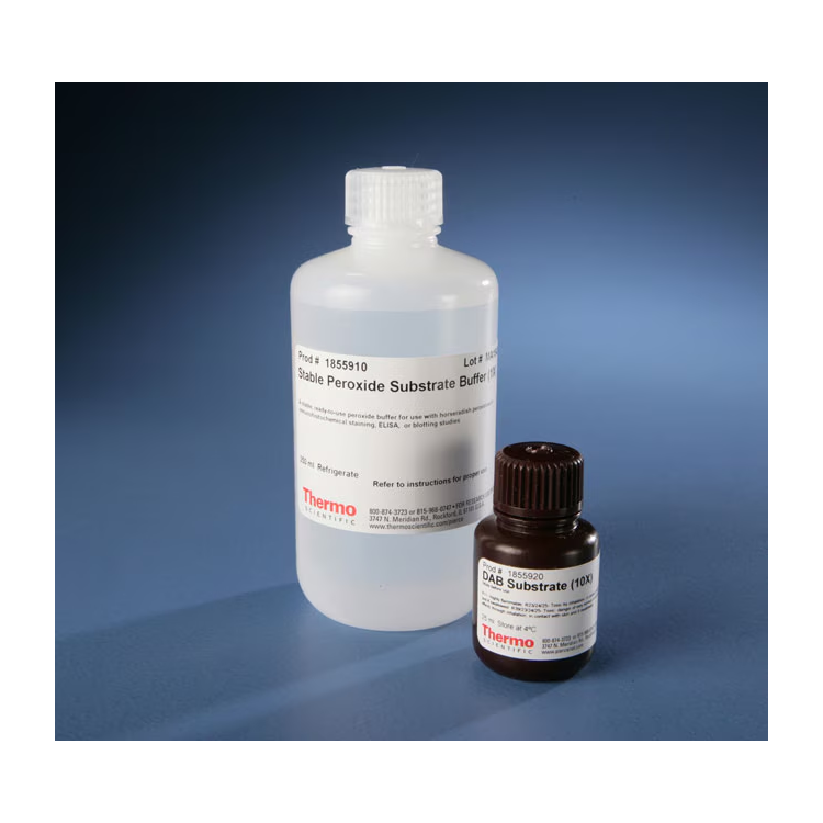Pierce™ DAB Substrate Kit : HLB바이오스텝 B2B MALL