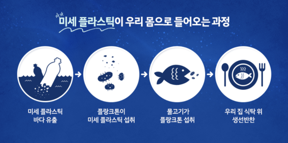 *출처 : 대한건강 의료지원단 - 미세플라스틱의 위험성