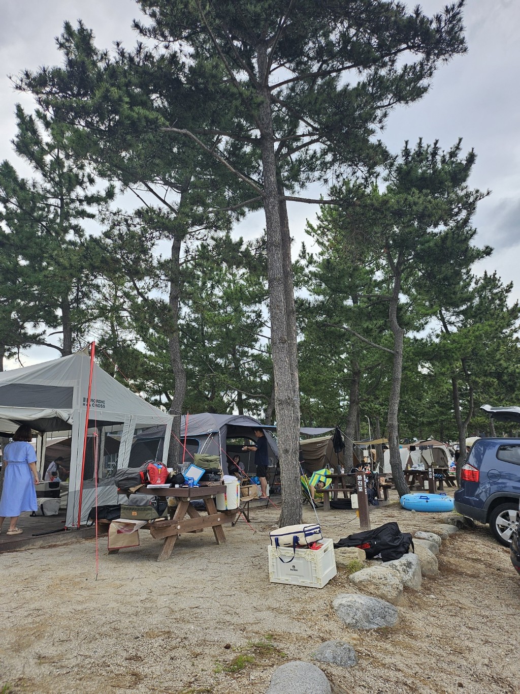 안전한메이저카지노 체크포인트: 인증된카지노사이트 + 카지노사이트쿠폰 활용 : 봉수대 해수욕장 | 원더비치