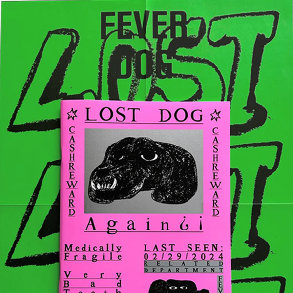 Lost Dog Again?!: Lost Dog Zine No. 2 : The Book Society