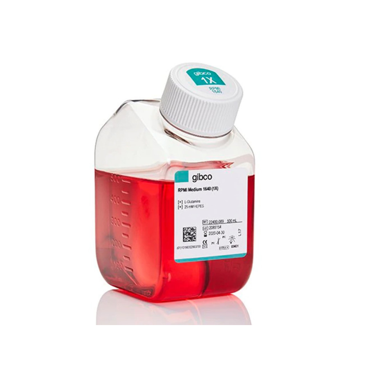 RPMI 1640 Medium, HEPES 500ml : Saintone(주)