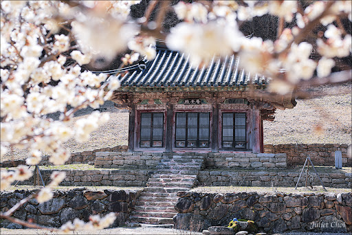 <h6 style="text-align: center; line-height: 1.5;"><span style="color: rgb(255, 255, 255);">삼보를 수호하는</span></h6>  <h3 style="text-align: center;"><span style="color: rgb(255, 255, 255);">불사후원</span></h3>