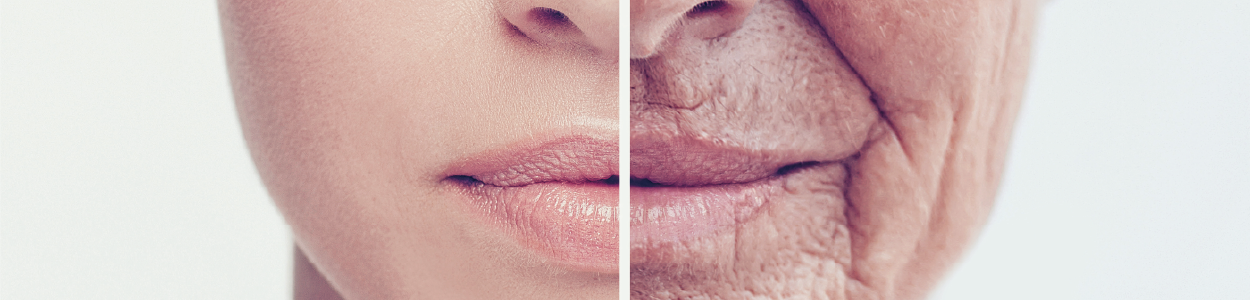 피부 평가 기술