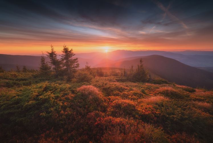 우리는 우리가 늘 생각하는 것이 된다. 그것이 가장 묘한 비밀이다.  - 얼 나이팅게일(Earl Nightingale V, 1921-1989), 미국의 작가