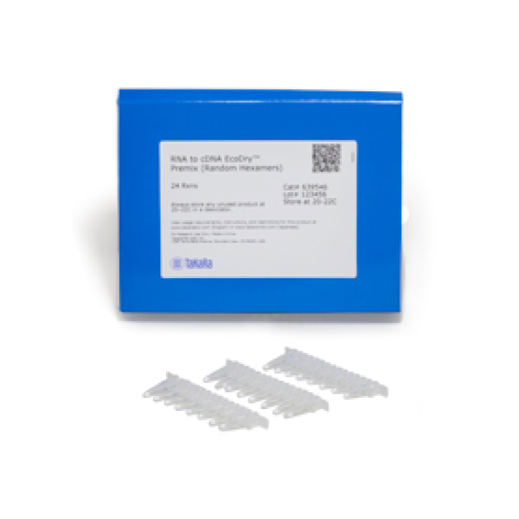 RNA to cDNA EcoDry Premix (Random Hexamers) [24 rxns] : Saintone(주)