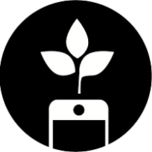 <font color='#000'>온라인 헌금</font>