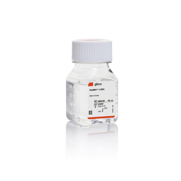 GlutaMAX™-1 (100X) 100ml : Saintone(주)