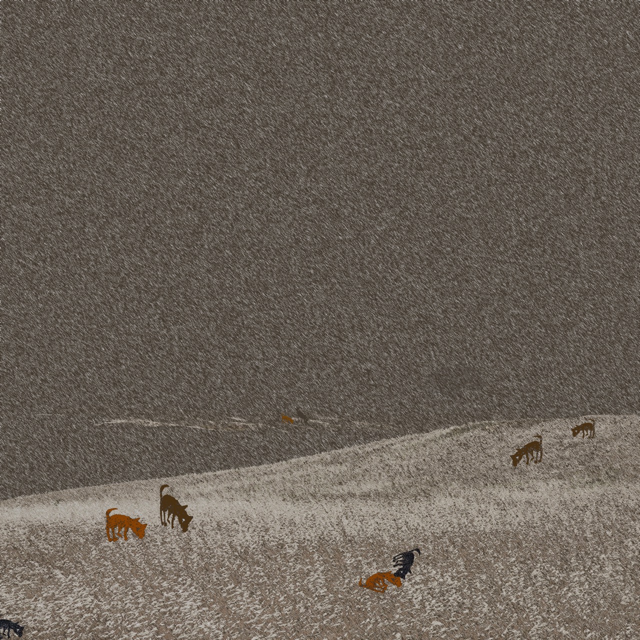개판, 2024, Pigment print, 60x60cm