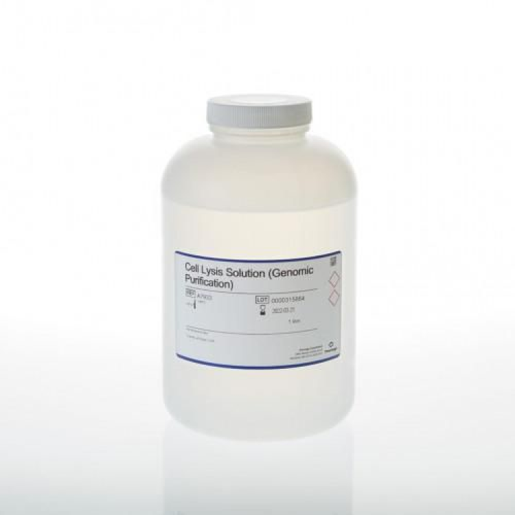Cell Lysis Solution (Genomic Purification) : Saintone(주)