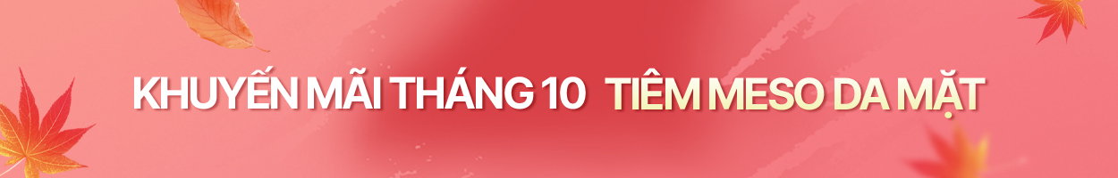 <br>~2024.10.31<br>Không gồm VAT