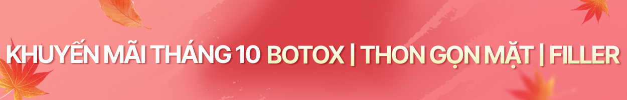 <br>~2024.10.31<br>Không gồm VAT
