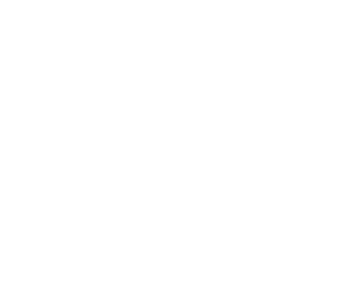 반정