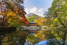 My First Fall in Korea: A New Journey : Useful Information