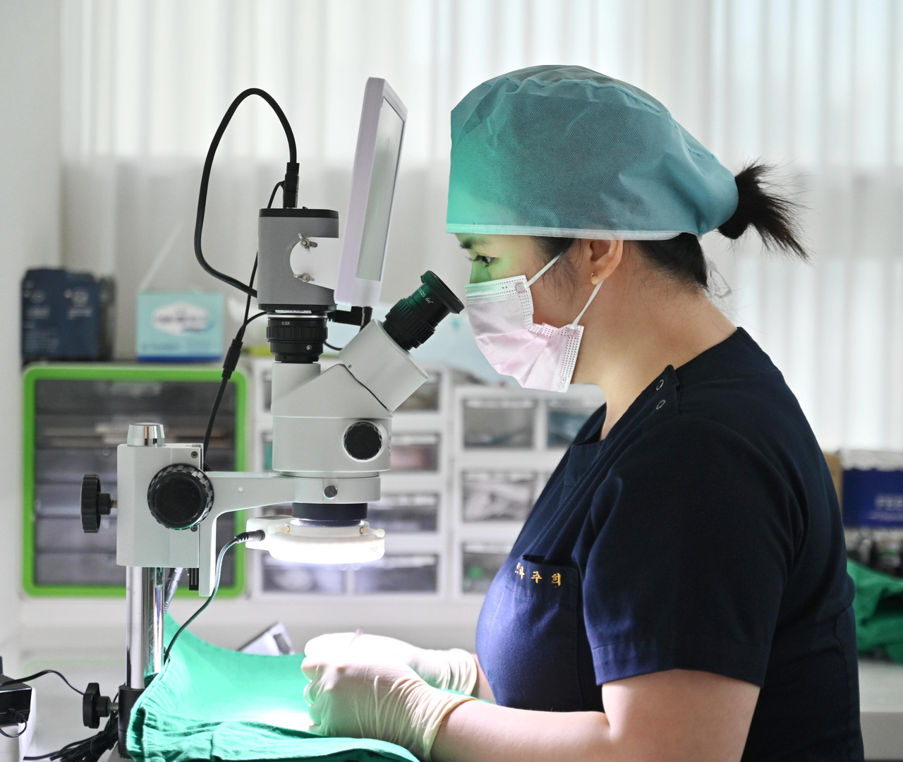 01. 온전한 모낭 채취 기술