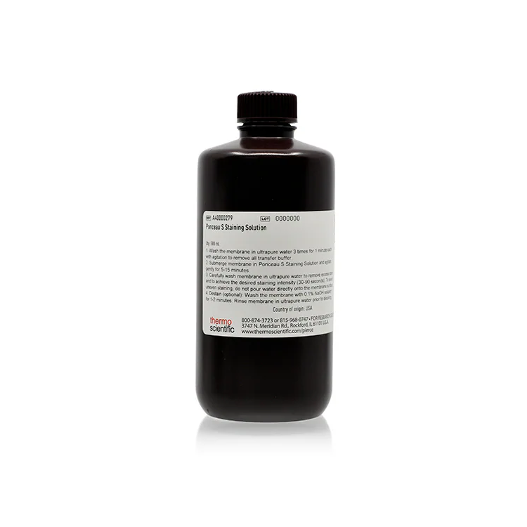 Ponceau S Staining Solution : Saintone(주)