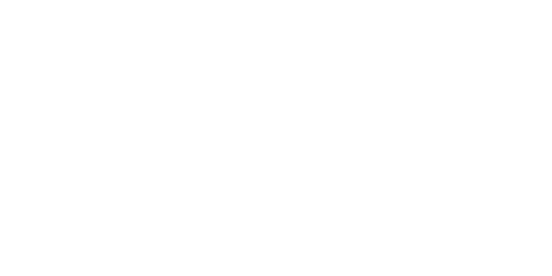 Young & Company: Global Management Consulting