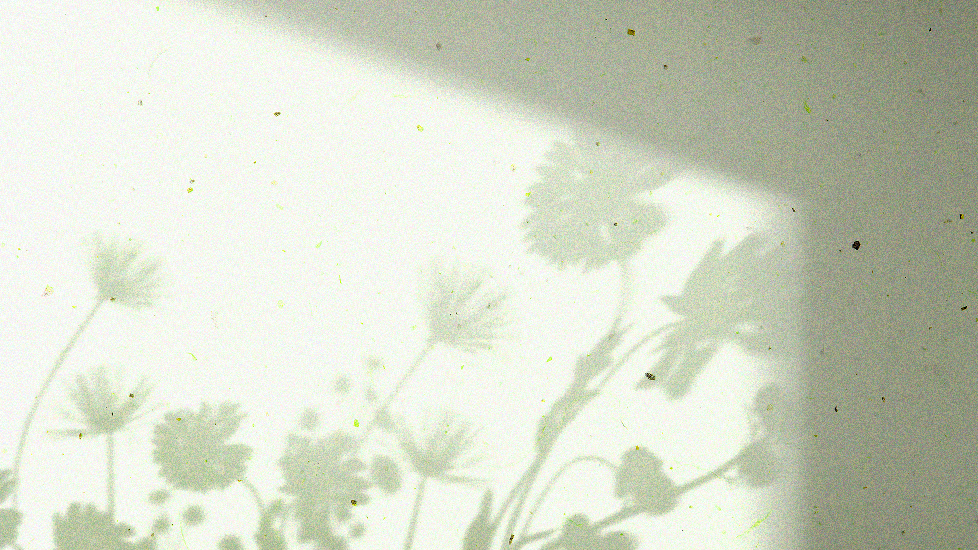 mobile background