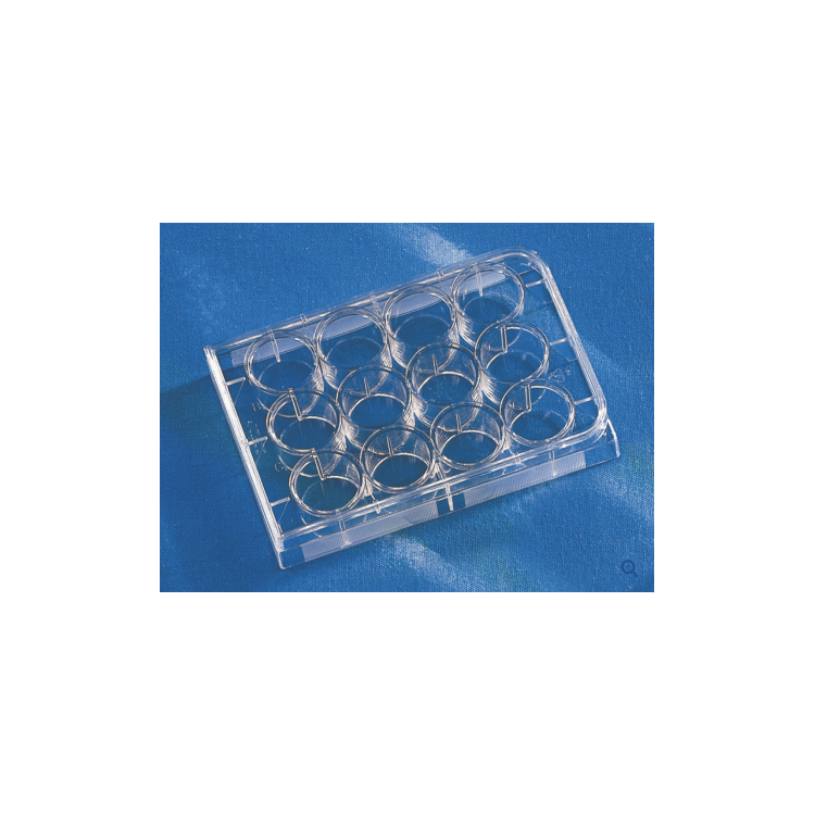 Costar® TC-Treated Multiple Well Plates size 12wells, polystyrene plate ...