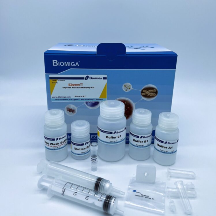 EZgene Express Plasmid Midiprep Kit : CHEMCOKOREA 켐코코리아