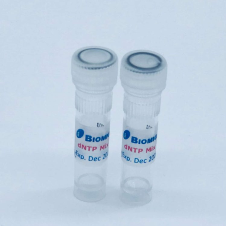 dNTP Mix, 25 mM each : CHEMCOKOREA 켐코코리아