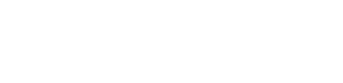 WorkyBunny l Global Career Platform