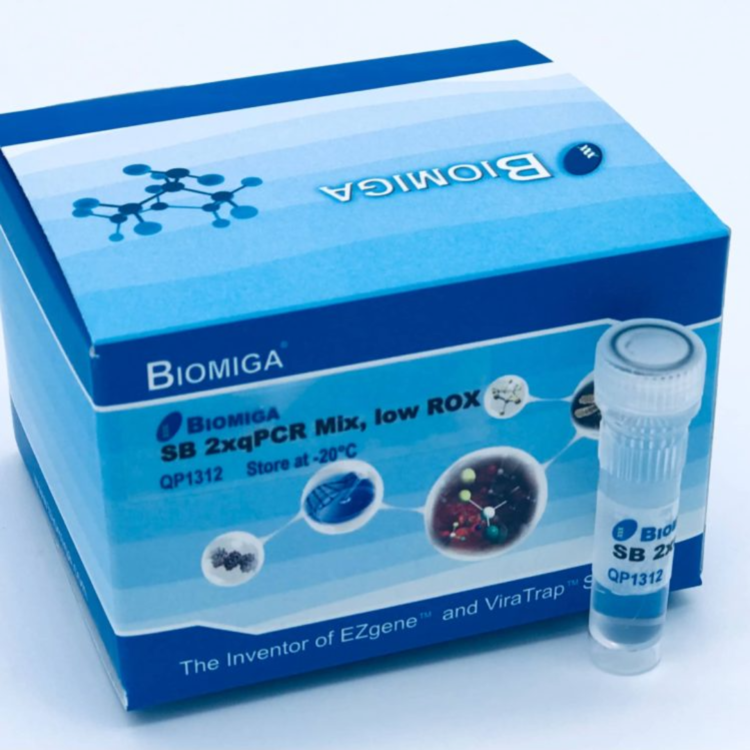 2x qPCR Mix, SBGR, Low Rox : CHEMCOKOREA 켐코코리아
