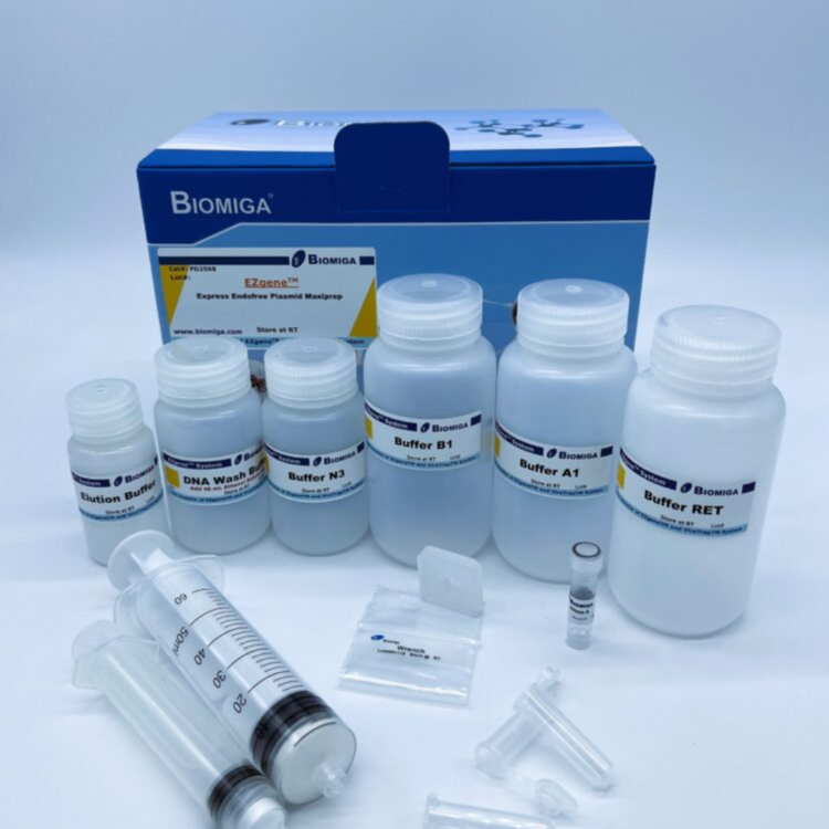 Express Endofree Plasmid Maxiprep Kit : CHEMCOKOREA 켐코코리아