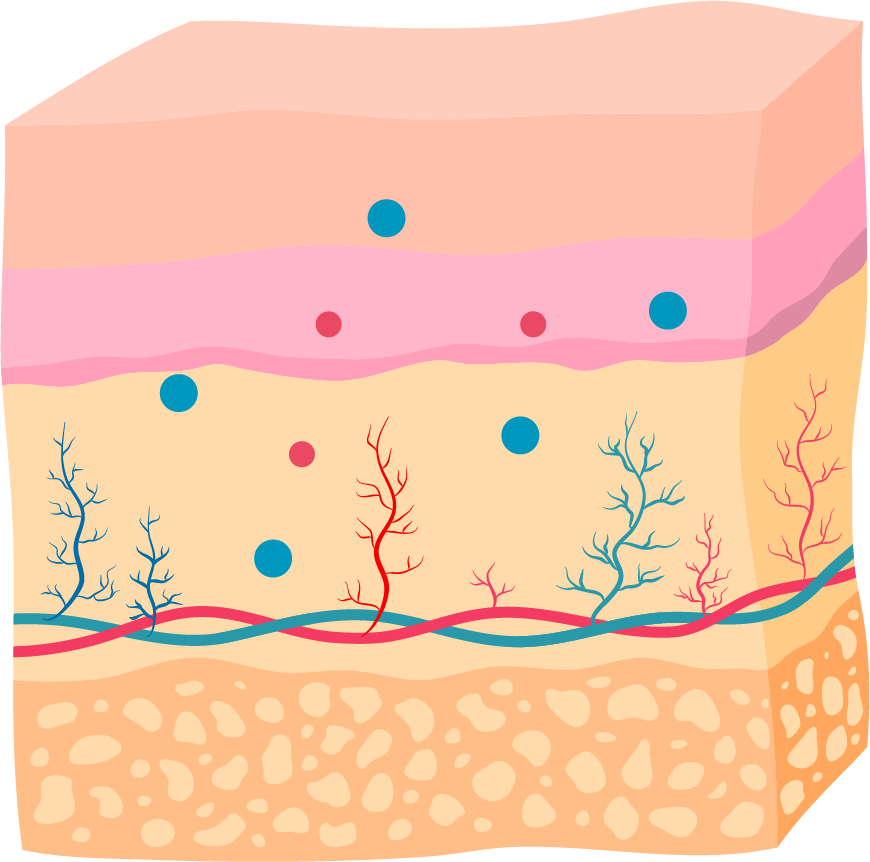 <small>일반 보습 기능 화장품</small>