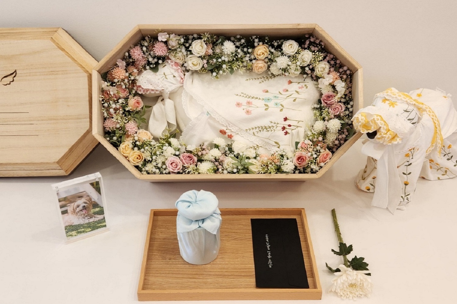 장례비용 알아보기 →